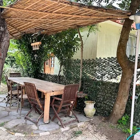 Gelsomino A 30 Minuti Da Venezia *